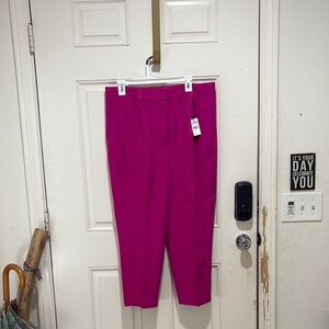 Express Pink Ankle Cropped Pants